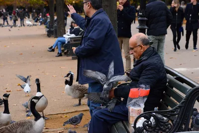 DSC_0661 (Large).JPG